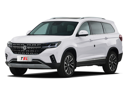 DONGFENG FORTHING T5L (OR - 011)